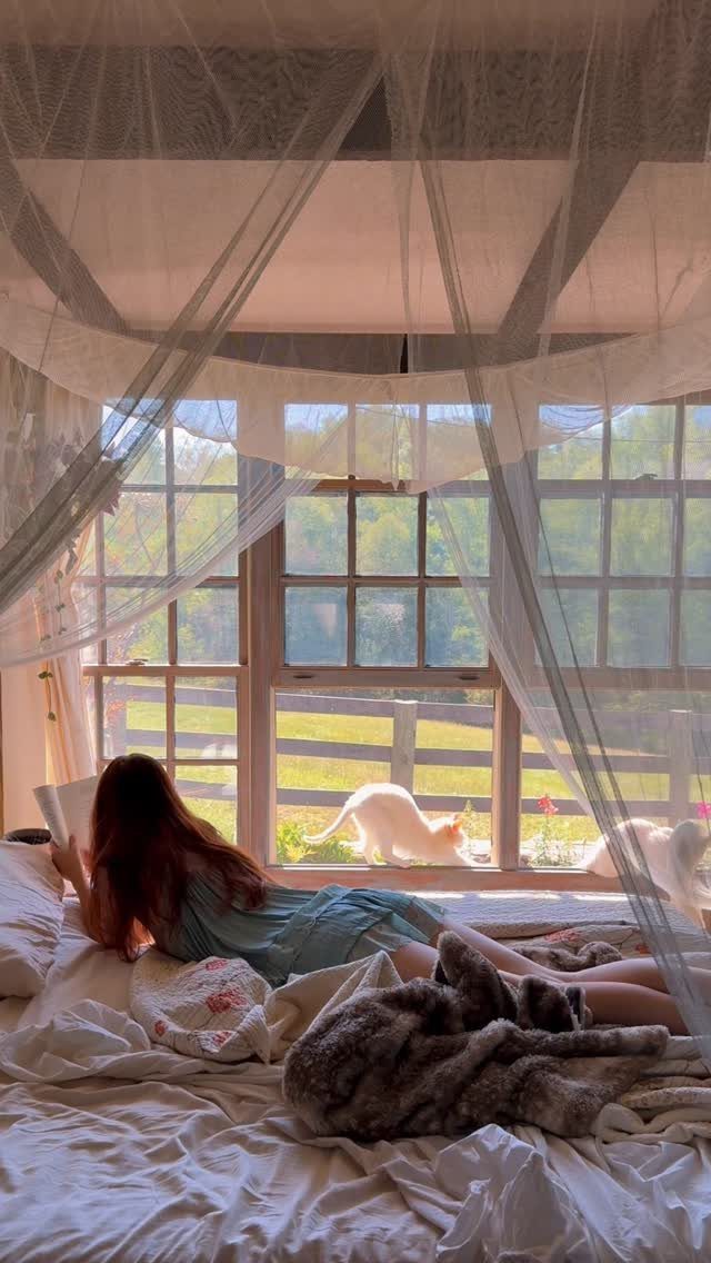 Person reading on a white bed under a sheer canopy overlooking a sunny field