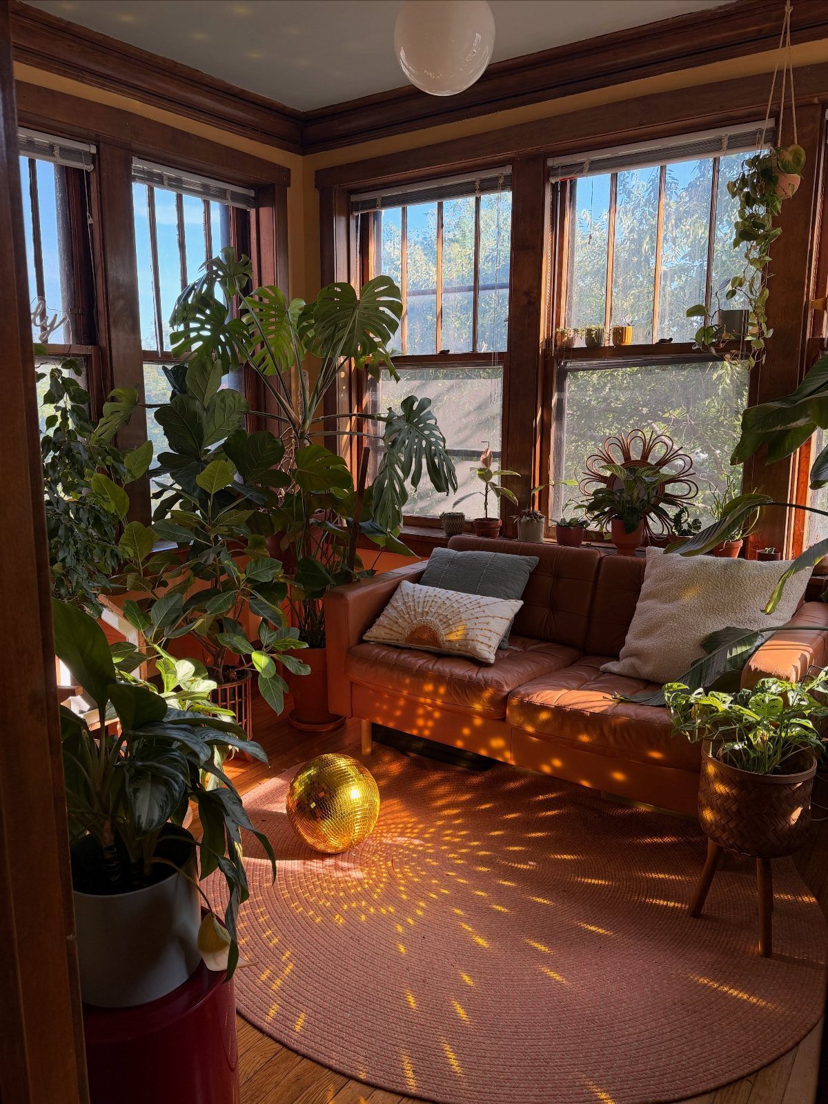 Sunlit living room with leather sofa, many indoor plants, and a round terracotta rug.