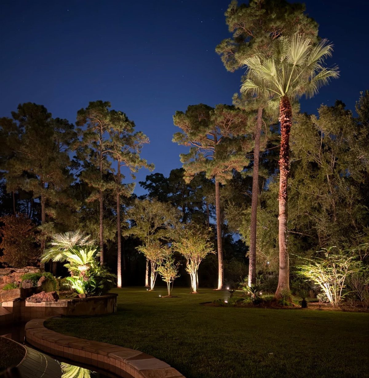 Tall palm and pine trees illuminated by warm ground-level uplighting at night.