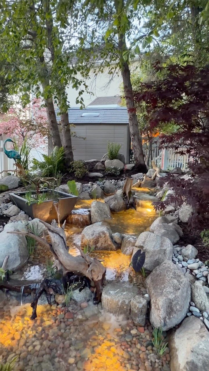 Illuminated backyard stream with warm underwater lights, grey rocks, and lush green foliage.