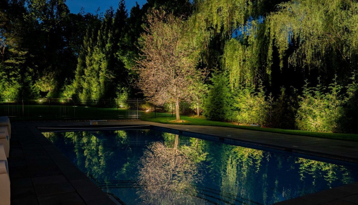 Swimming pool reflecting illuminated trees and shrubs in a dark backyard at night
