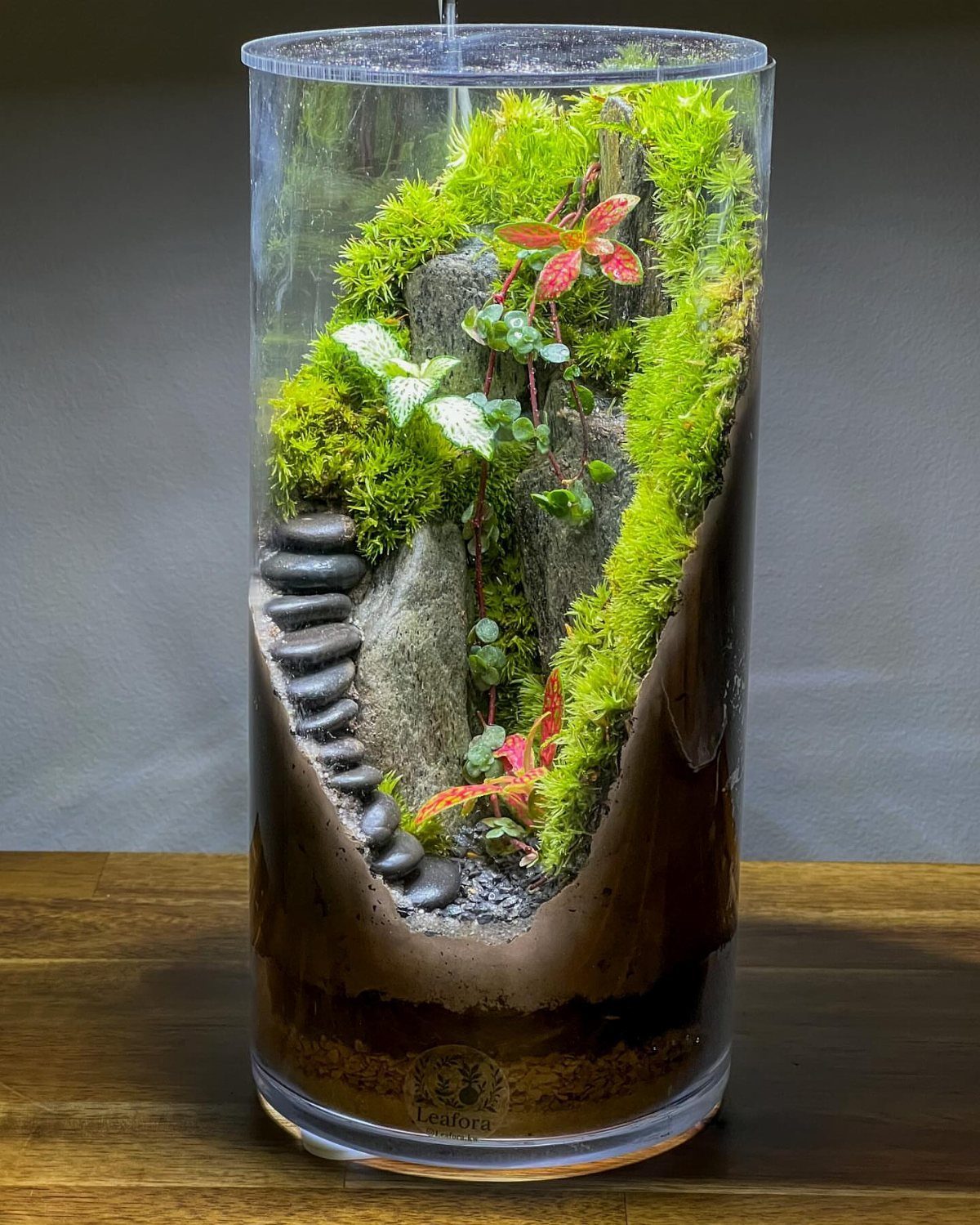 Cylindrical glass terrarium with layered soil, moss, and small plants on wooden table.