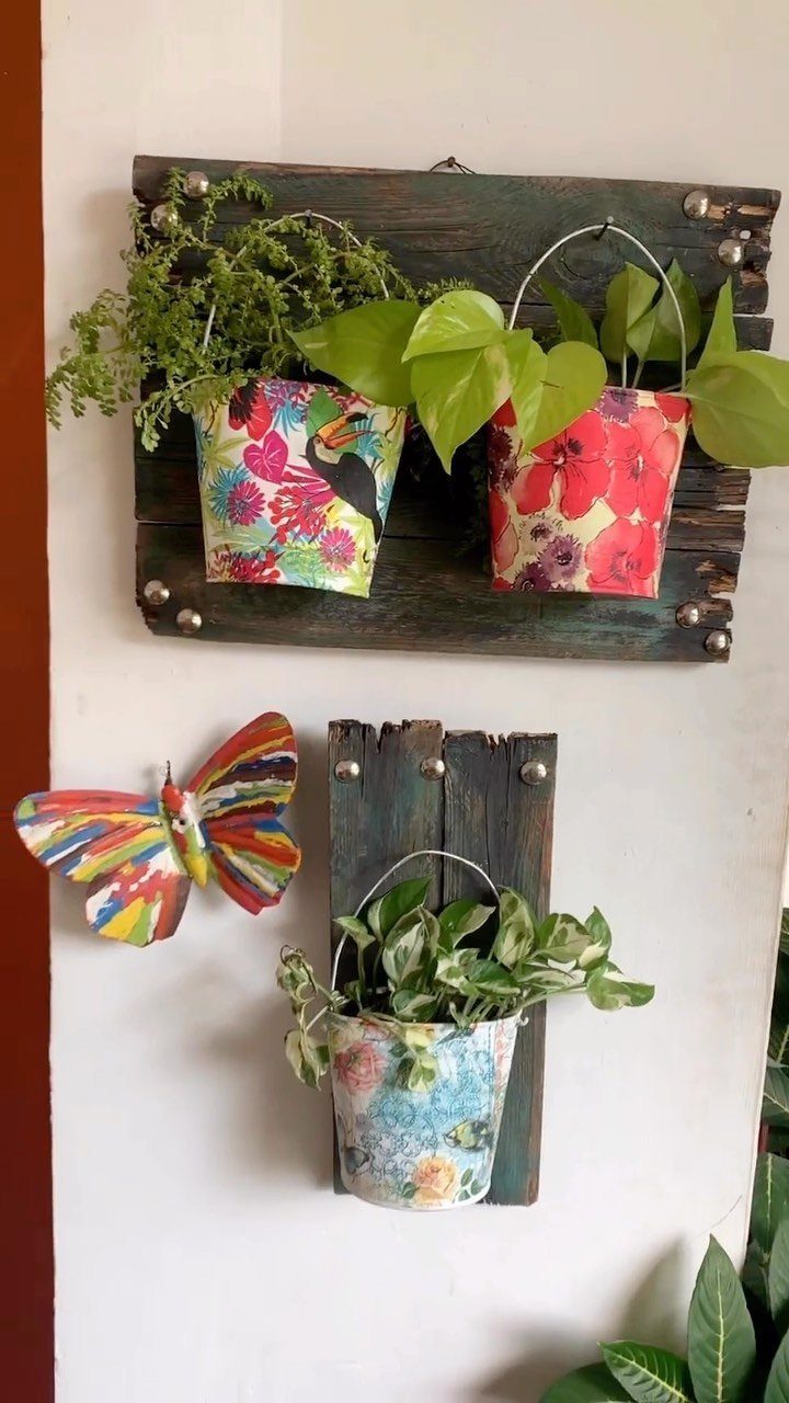 Colorful patterned planters on wooden planks and a rainbow butterfly on a white wall.