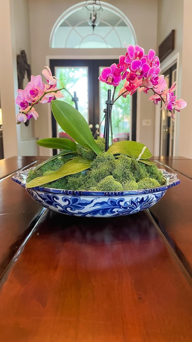 Pink orchid plant with green moss in a blue and white ceramic bowl.