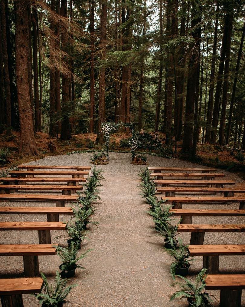 Wooden benches and potted ferns lining a gravel aisle in a forest wedding