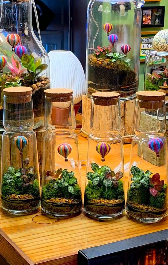 Plants in Jars: 14 Terrarium, Propagation, and Seedling Ideas 13 Small green plants and miniature hot air balloons inside glass jars with cork lids.
