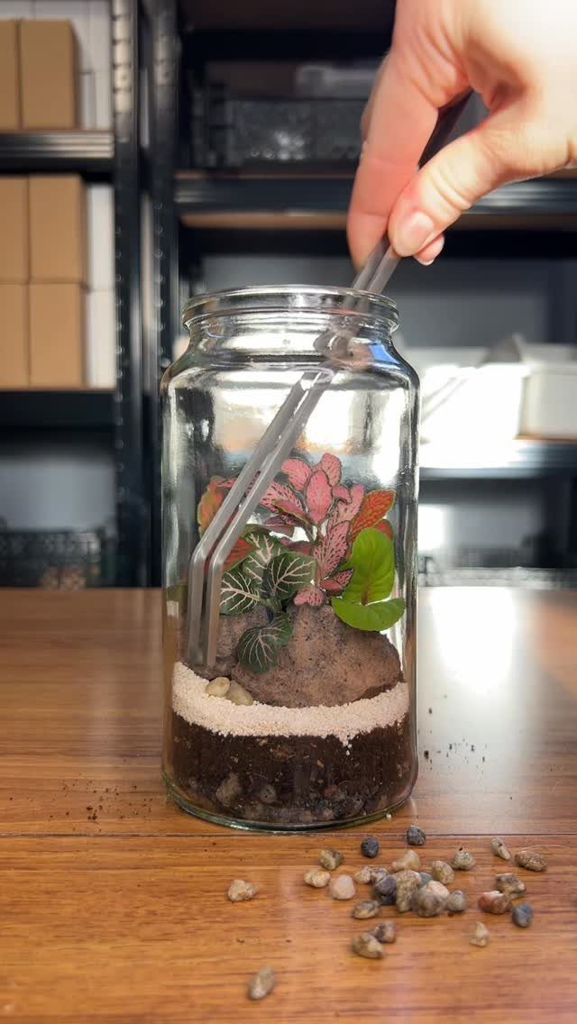 Plants in Jars: 14 Terrarium, Propagation, and Seedling Ideas 2 Hand using tweezers to plant small greenery inside a layered glass terrarium jar.