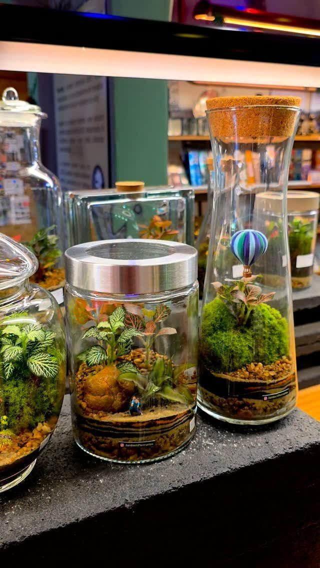 Plants in Jars: 14 Terrarium, Propagation, and Seedling Ideas 3 Glass jars and flasks containing miniature terrariums with green plants and moss.