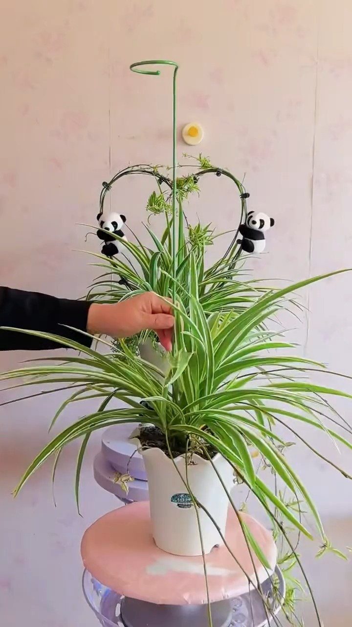 10 Best Spider Plant for Office Ideas for Your Desk (2026) 8 Spider plant in a white pot decorated with panda plushies and heart wire.